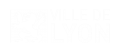 Ville De Lyon-monochrome-blanc
